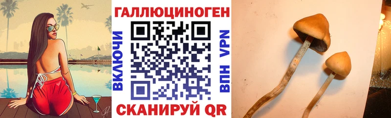 МЕГА ONION  Ленск  Галлюциногенные грибы GOLDEN TEACHER  хочу наркоту 
